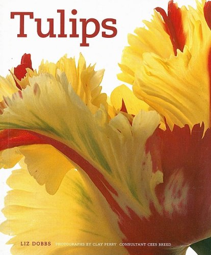 Image for Tulips