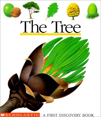 Image for The Tree (First Discovery Books)